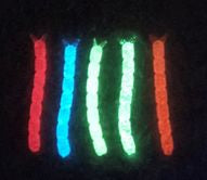 Bloodworm Soft Plastic Baits