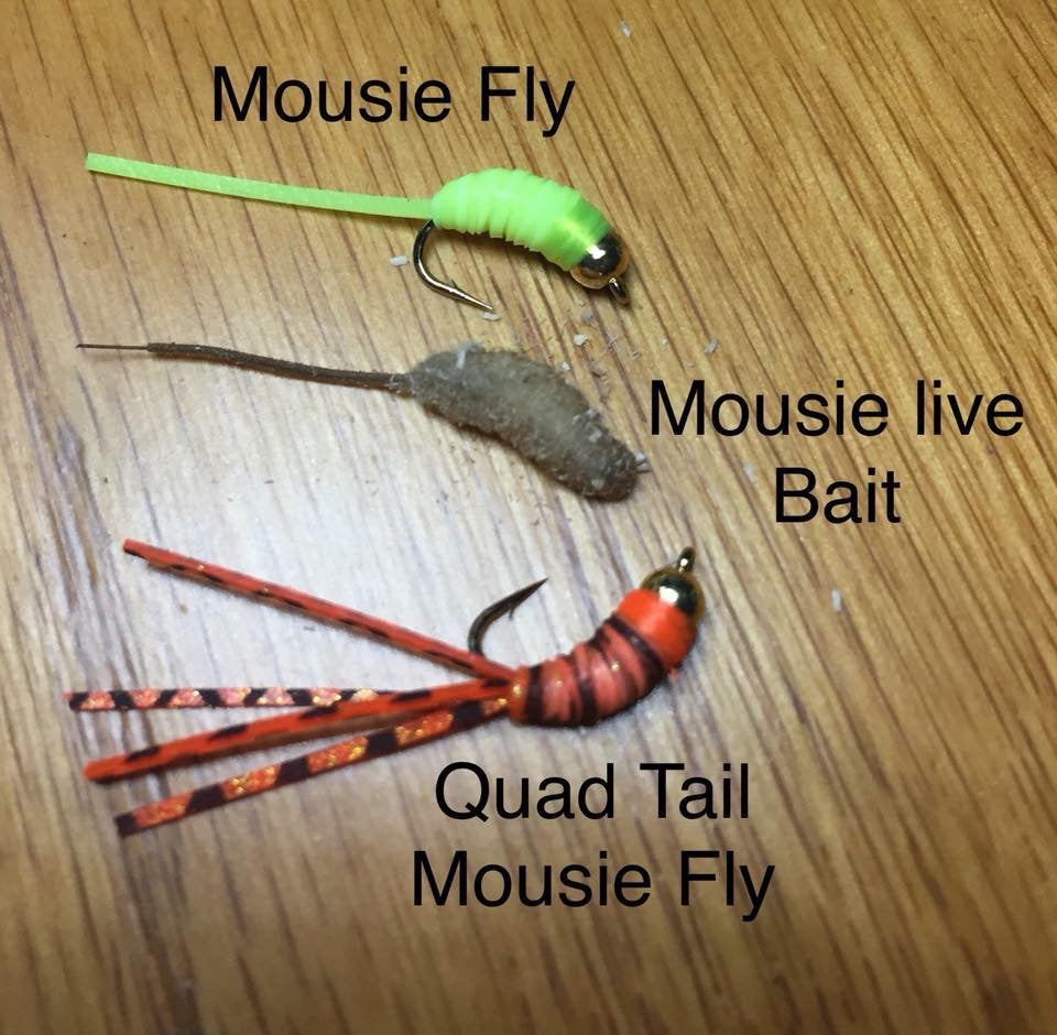Quad Tail Mousie (Ice) Flies
